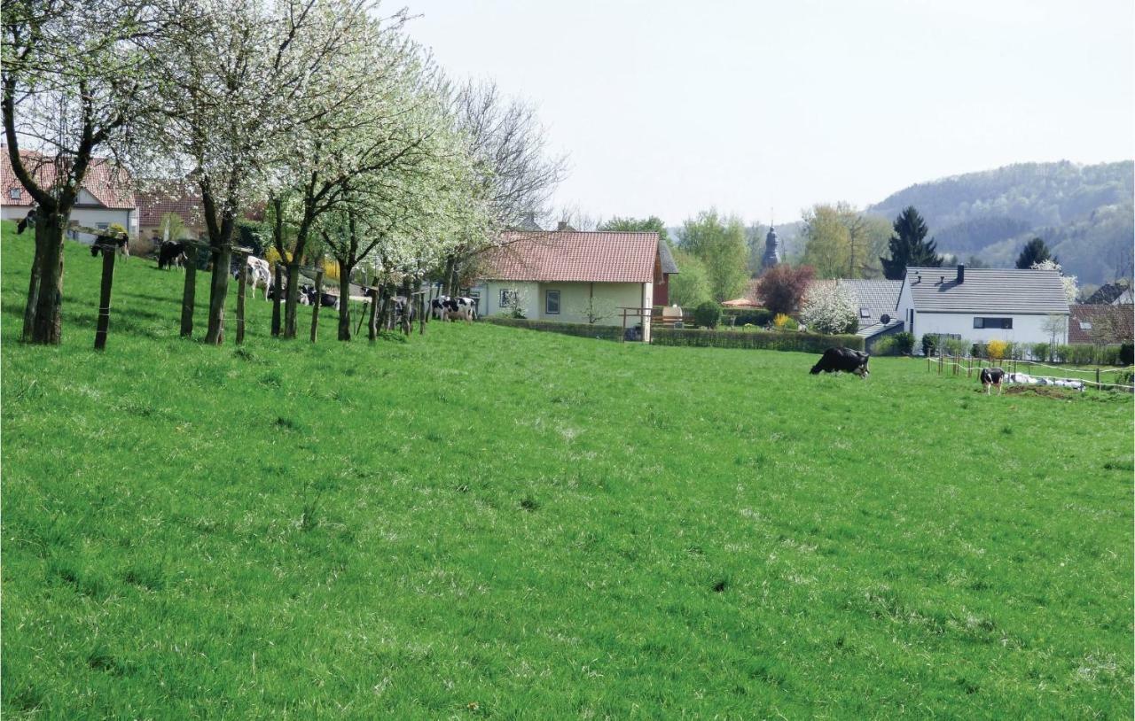 Amazing Home In Koerperich-Obersgegen With Sauna Buitenkant foto